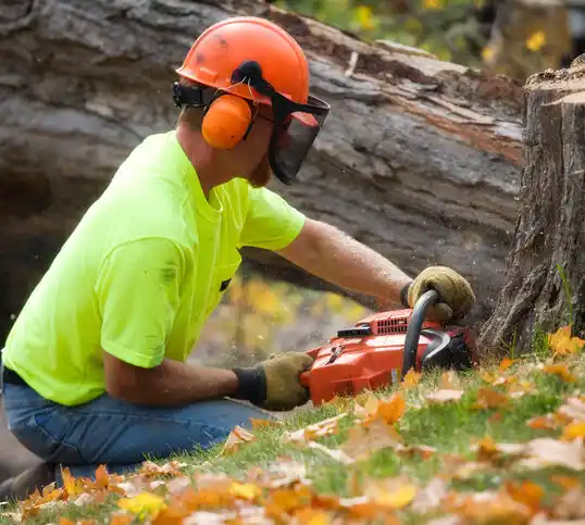 tree services Grand River